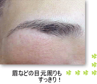 ��p���Ɛ�p�p�E�_�[�݂̂��g�p