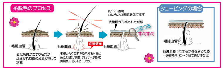 ���E�т̃v���Z�X